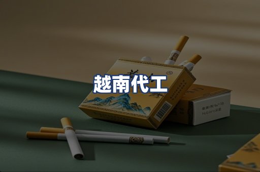越南代工